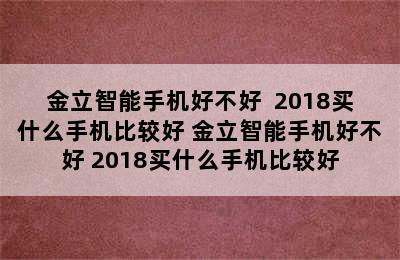 金立智能手机好不好  2018买什么手机比较好 金立智能手机好不好 2018买什么手机比较好